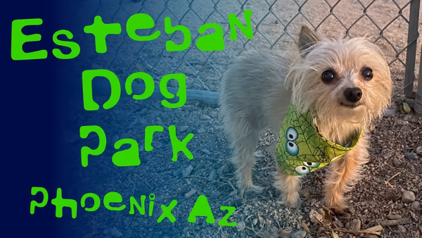 Esteban Dog Park